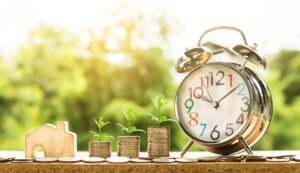مكافحة ثعابين وعقارب بالطائف – عرض ٢٠