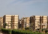 شركة مكافحة حشرات بالطائف بضمان 6 شهور – حي الشهداء – عرض ٦١