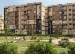 مكافحة النمل الأبيض قبل وبعد البناء بالطائف – حي الشرقية